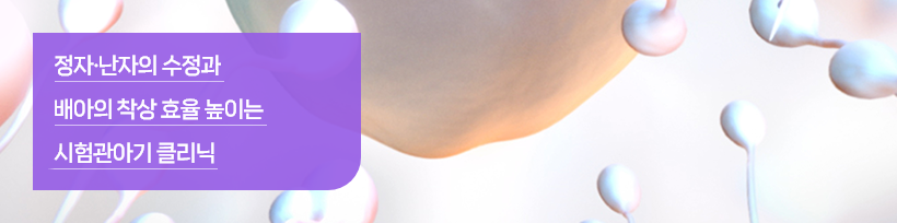 정자,난자의 수정과 배아의 착상 효율 높이는 시험관아기 클리닉