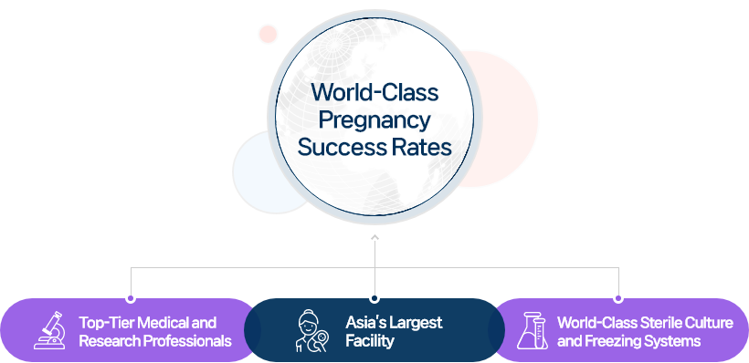 World-Class Pregnancy Success Rates
